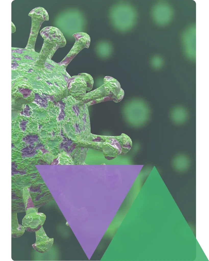 desinfección coronavirus málaga