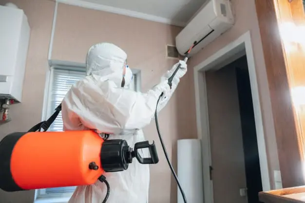 como desinfectar la casa de virus y bacterias