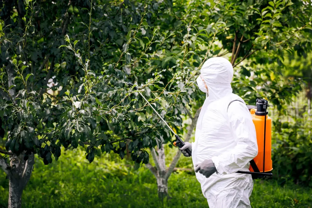 fumigar los arboles frutales