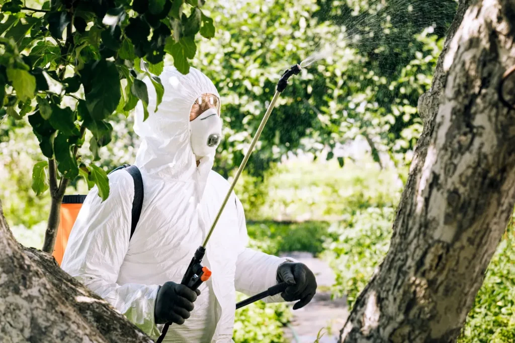 cuando hay que fumigar los arboles frutales