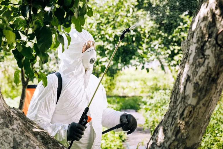 cuando hay que fumigar los arboles frutales