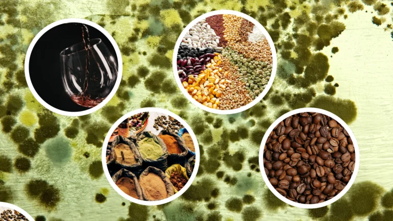 Ocratoxina en alimentos